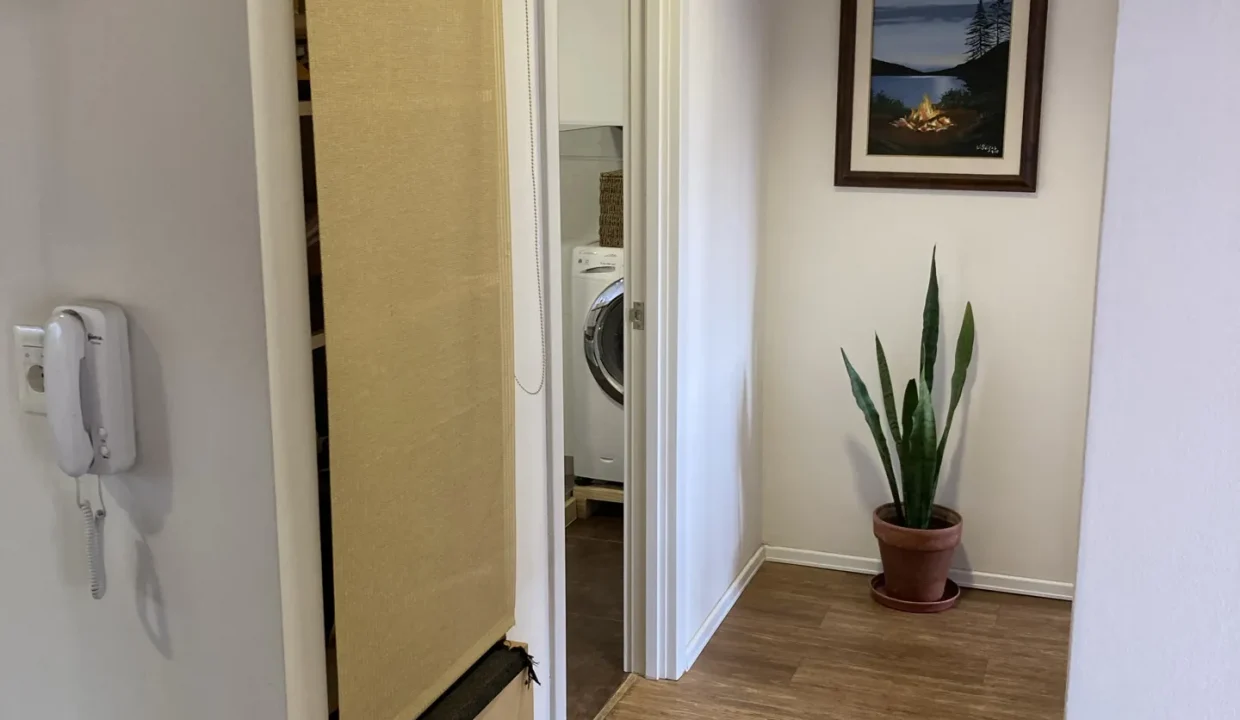 D_NQ_NP_875119-MLU105360405897_012026-OO