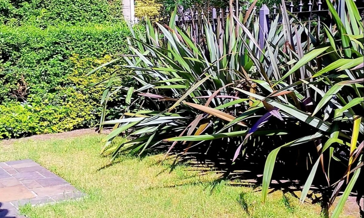 Screenshot_20260216_163335_com_mercadolibre_GalleryModalActivity_edit_1316018539164279